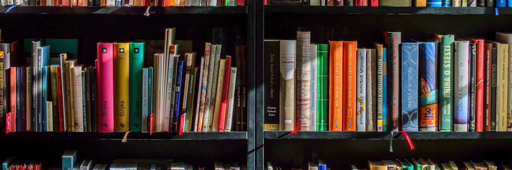 Jennifer Barns banner