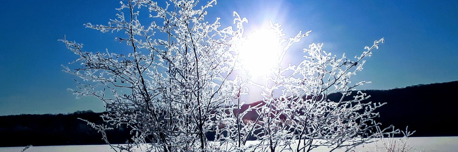 sunilssharmapt's profile banner image