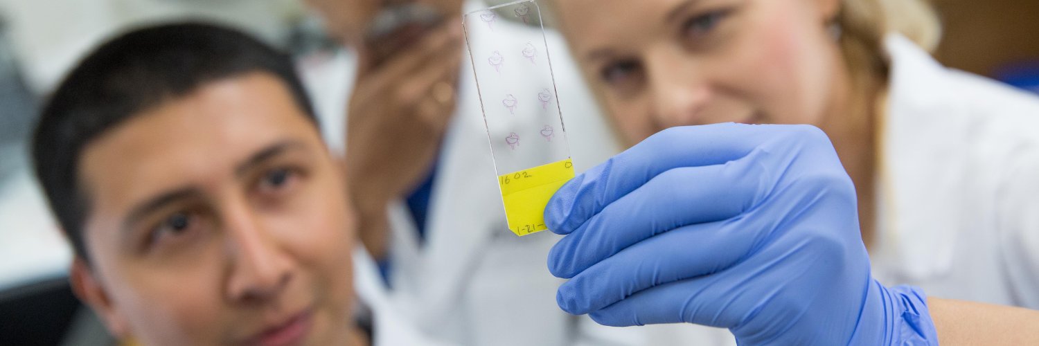 UNT Health Biomedical & Translational Sciences banner