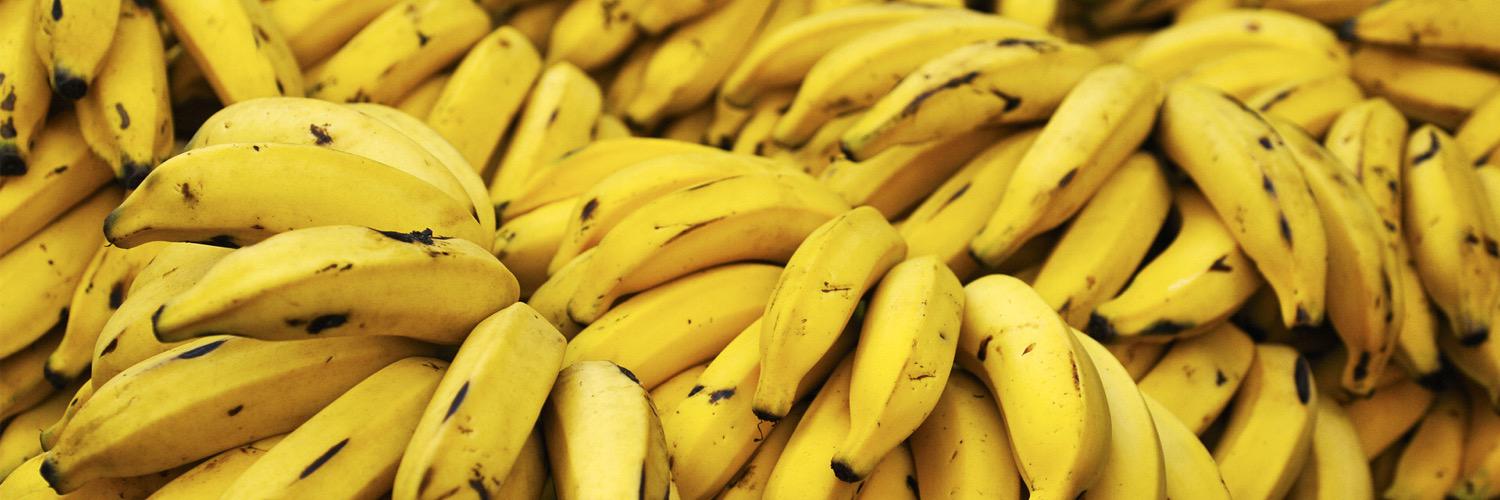 bananasofdavis's profile banner image