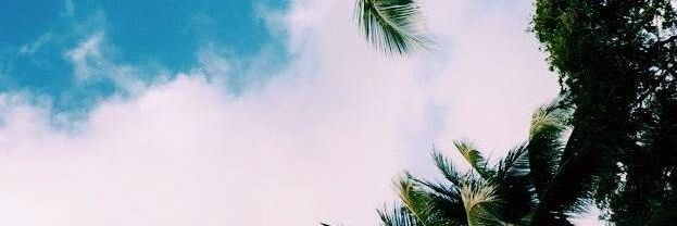 steventerry__'s profile banner image