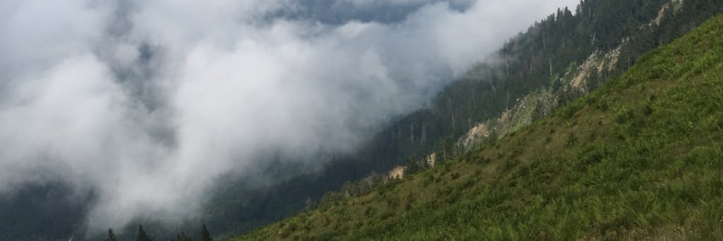 MehtapMurzoglu's profile banner image