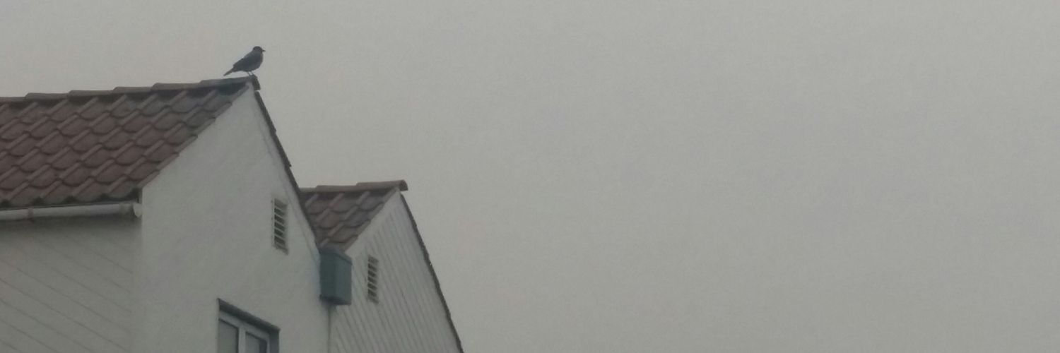 Ma_Beng's profile banner image