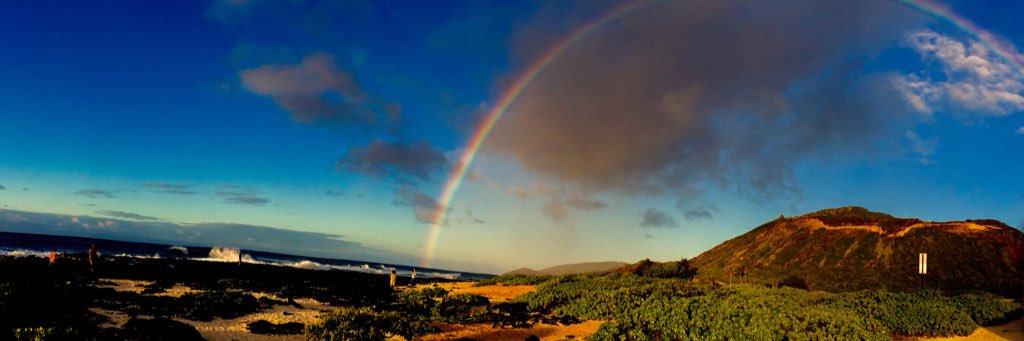 Stewart Yerton banner