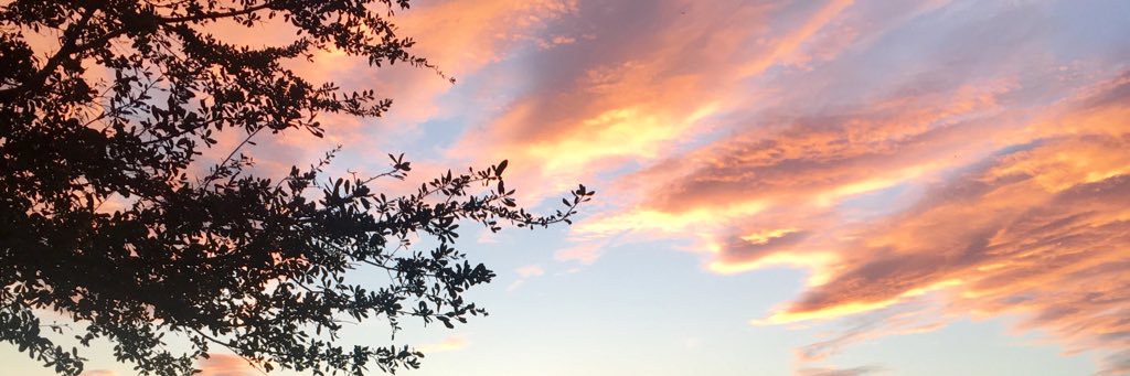 sarahallrn's profile banner image