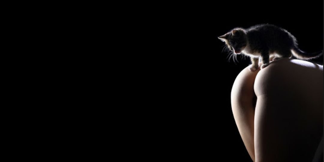 MezRaps's profile banner image