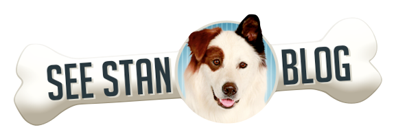 DogWithBlogs's profile banner image