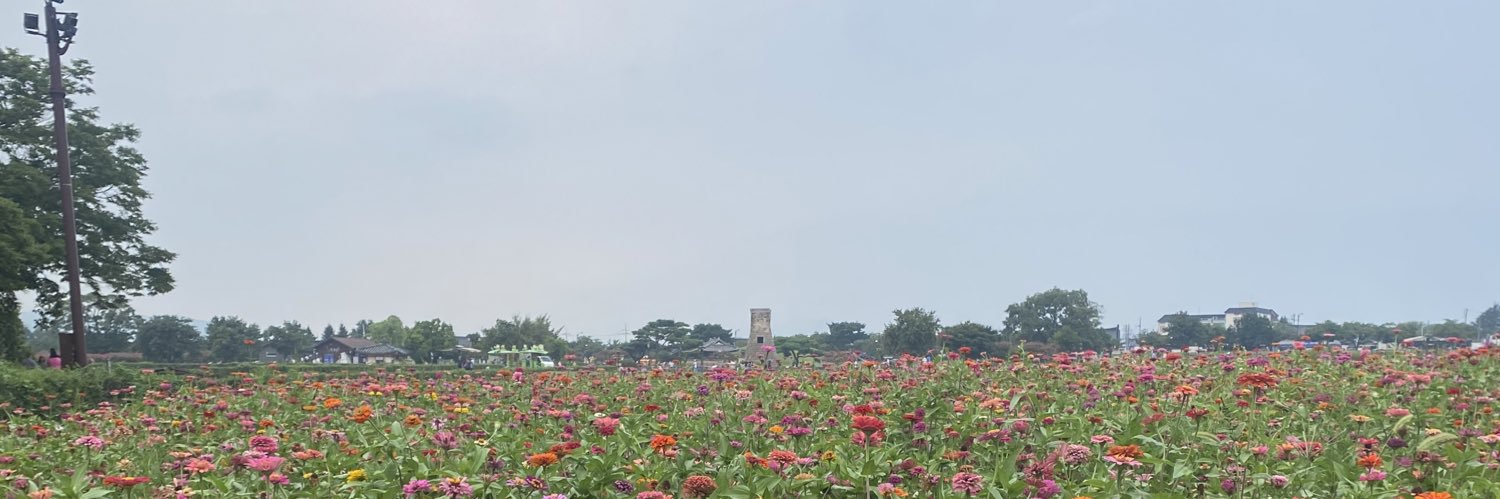Adriana Cardona banner