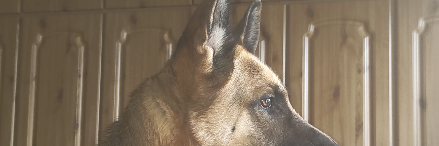 ShaneCogan's profile banner image