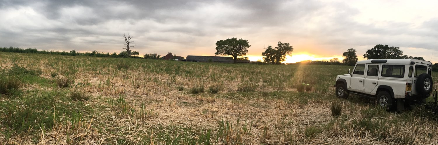 bec_crouch's profile banner image