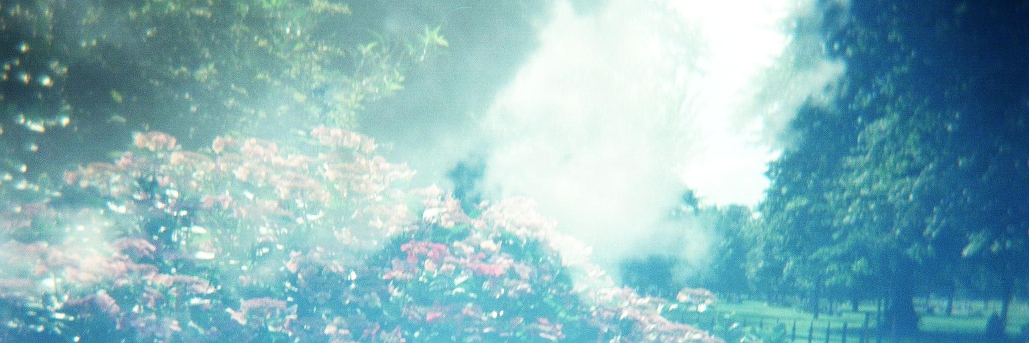 nanshoy's profile banner image