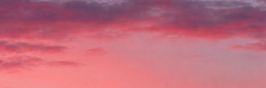 carrlooss8's profile banner image