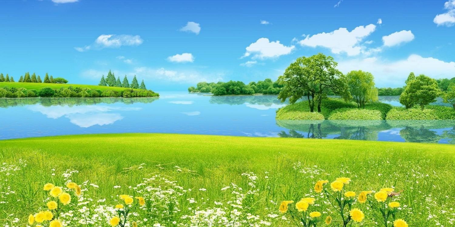 MoMarsale's profile banner image