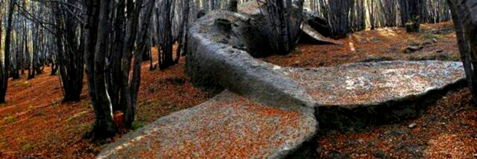 Mora_Winter's profile banner image