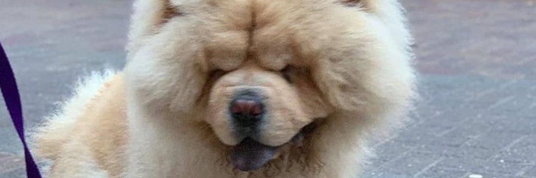 MeanOldPrick's profile banner image