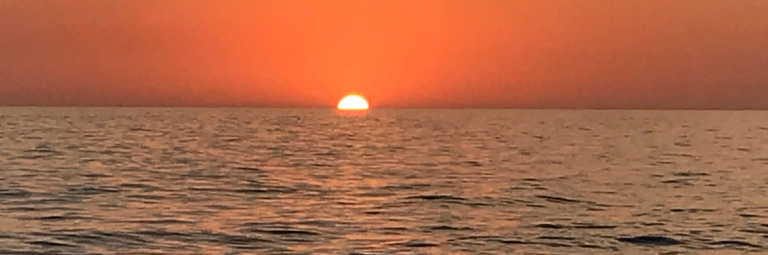 James McGuirk (he/him) banner