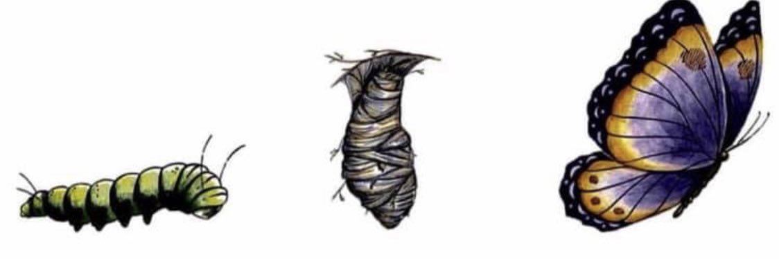 _hawthorne23's profile banner image