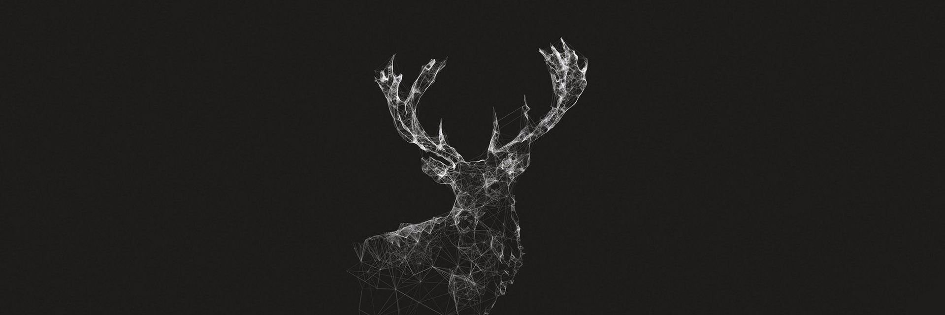 NoahMMarkus's profile banner image