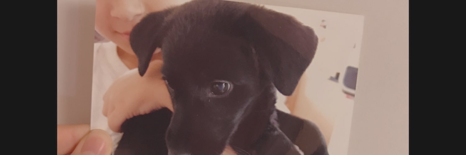Luna3h2's profile banner image