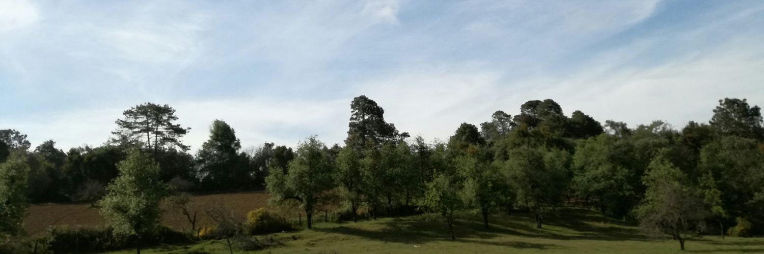 Dalschefcdmx's profile banner image