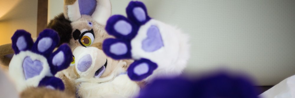 SassyGayFox's profile banner image