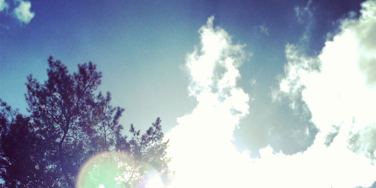 Laura Lammers banner