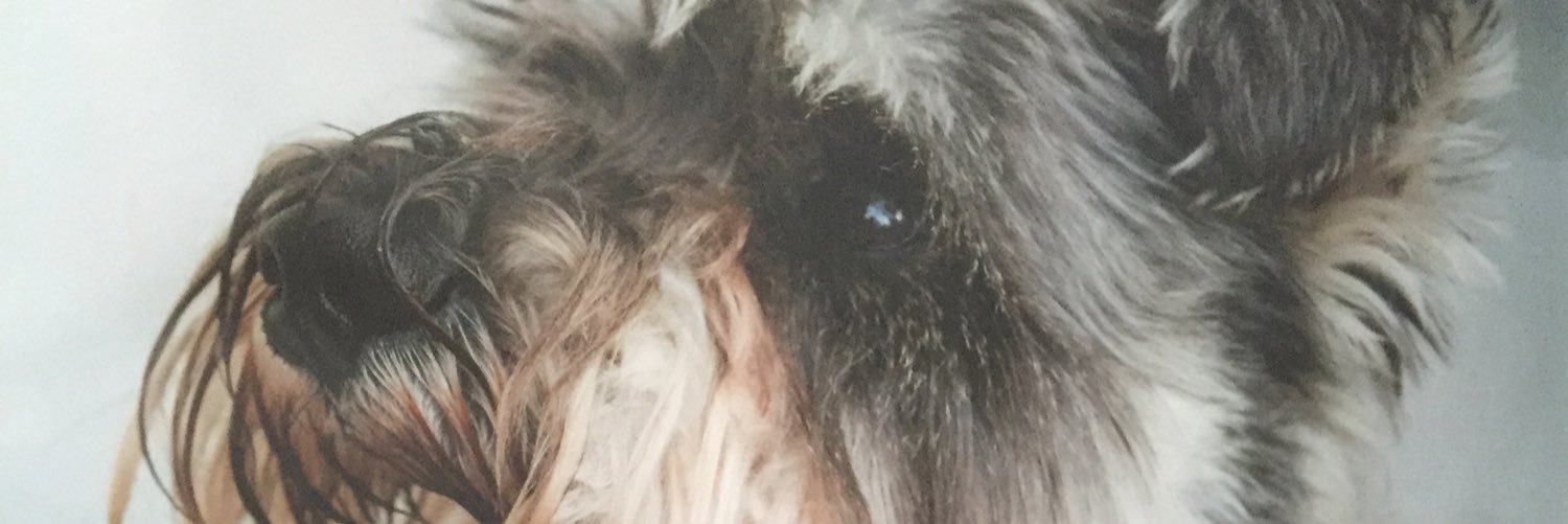 nerysgr's profile banner image