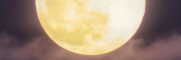 双摩 banner