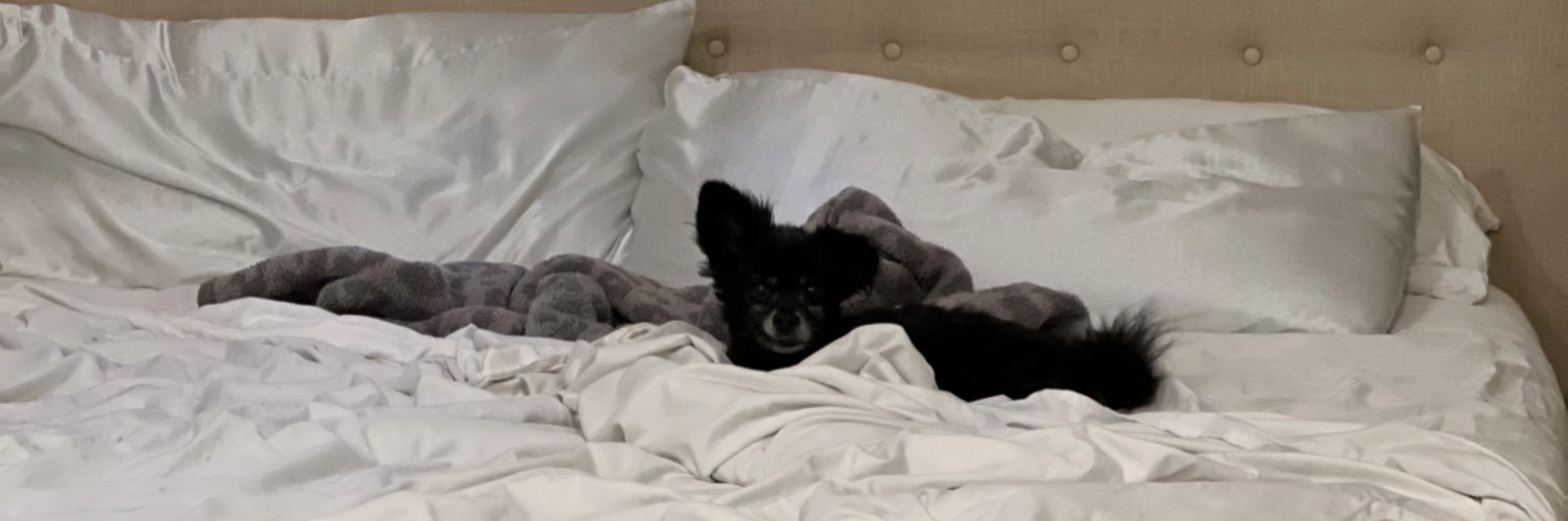 TraceJacobs22's profile banner image