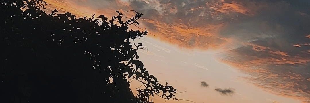 Mirageem_'s profile banner image
