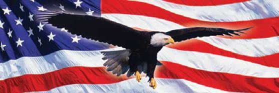 Dr. MD 🇺🇸 banner