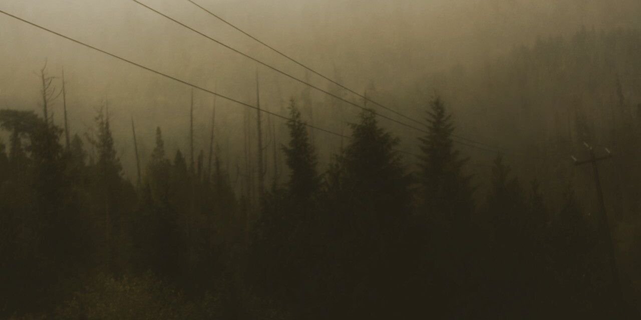 mroldowl's profile banner image