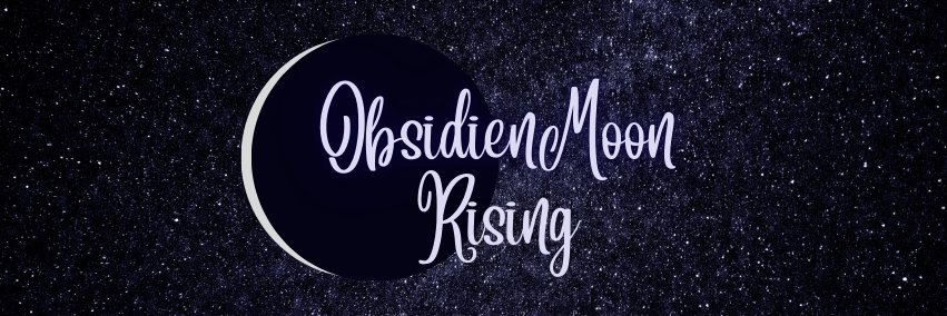 ObsidienMoon's profile banner image