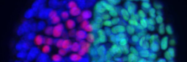 ro_sampayo Profile Banner