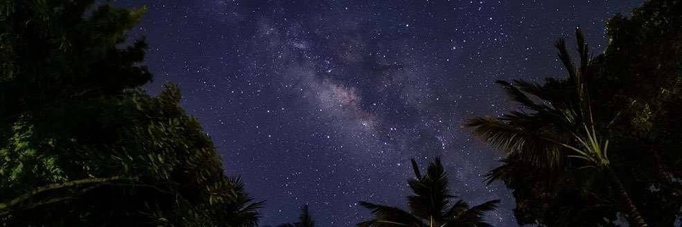 yoshi_N35's profile banner image