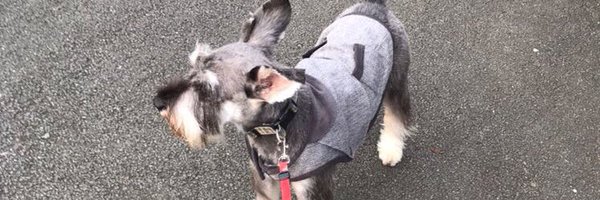 VictoriaRains Profile Banner