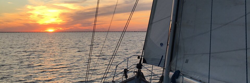 morgj banner
