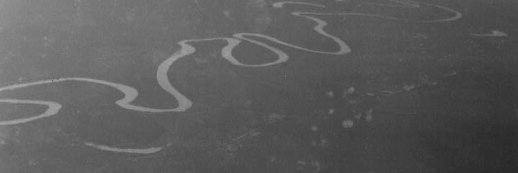 Refusing to Forget banner