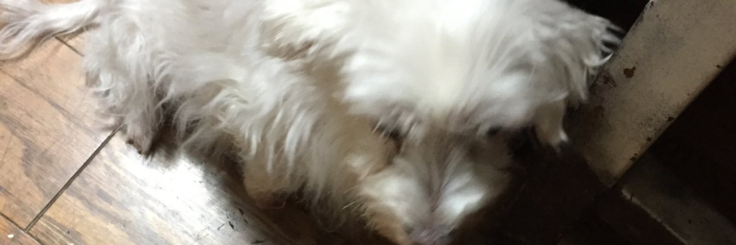 yusukecx5's profile banner image