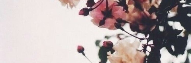 FelicitasDiaz's profile banner image