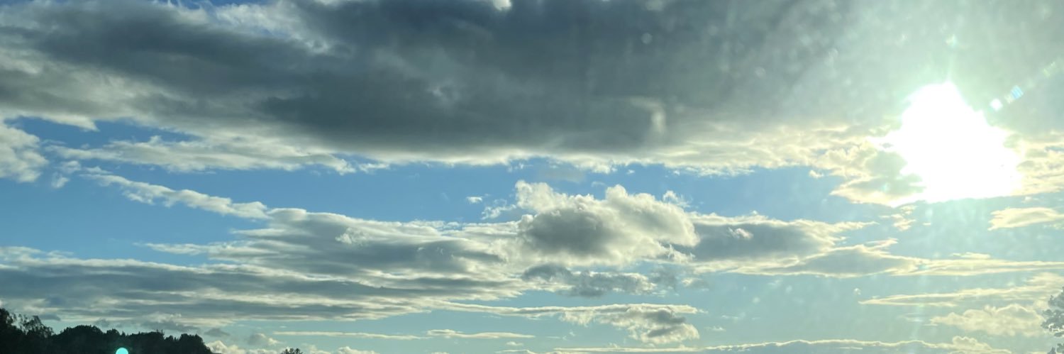 alliharpell's profile banner image