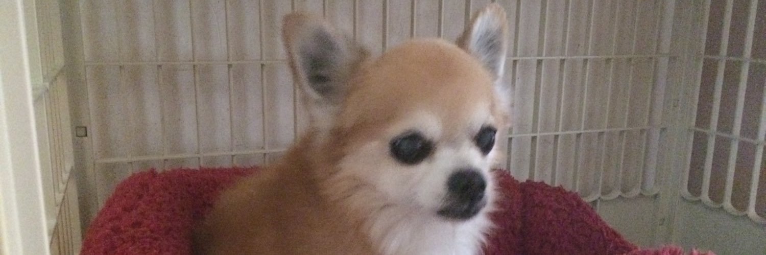 DUJ456's profile banner image