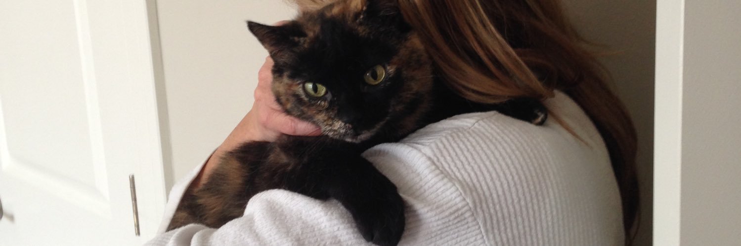 catqueen93's profile banner image