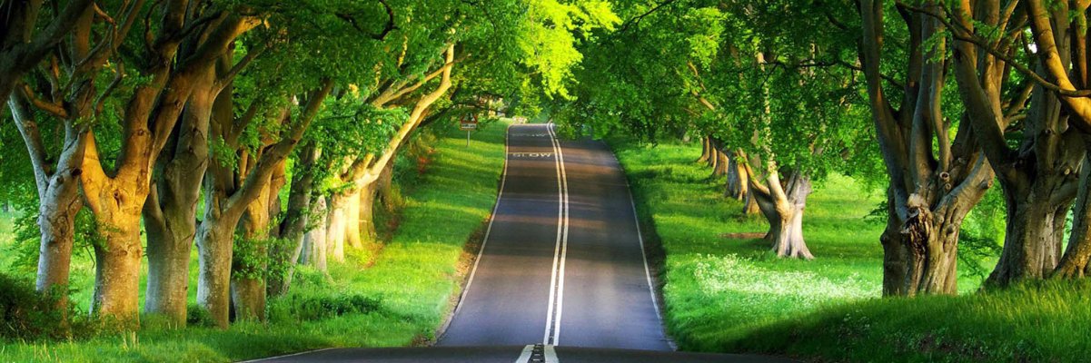 pravishanth's profile banner image