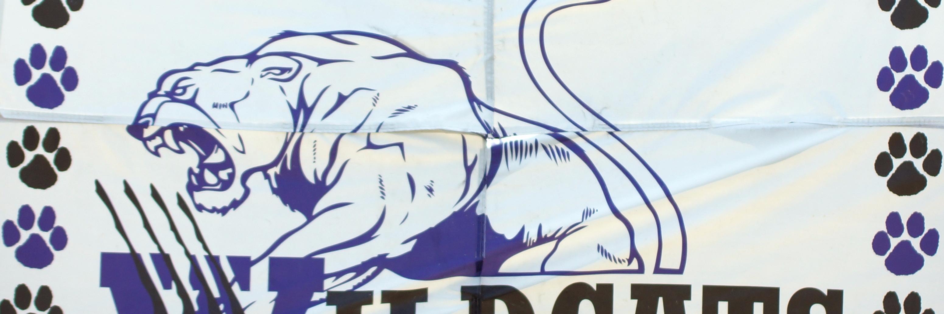 HampWildcats's profile banner image