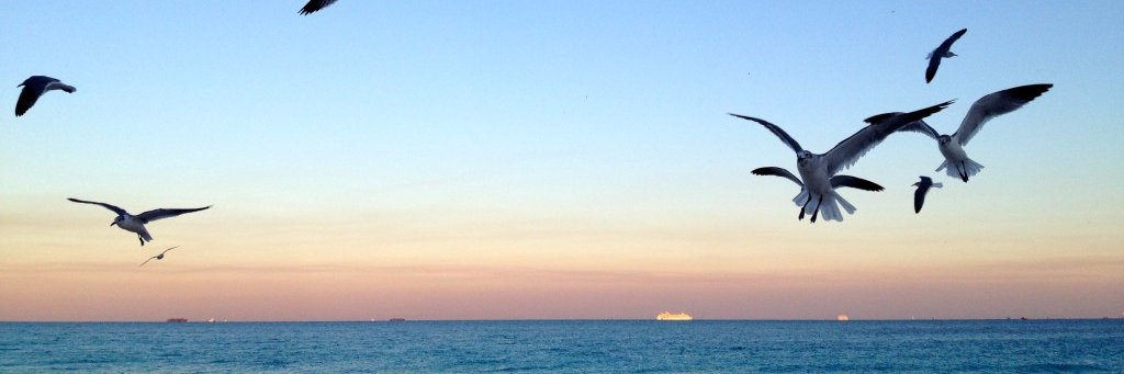 GeorgiouDemos's profile banner image