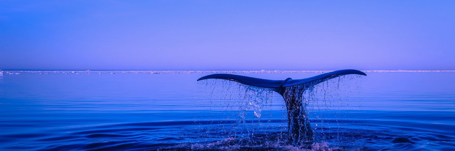 chus_alvarez's profile banner image
