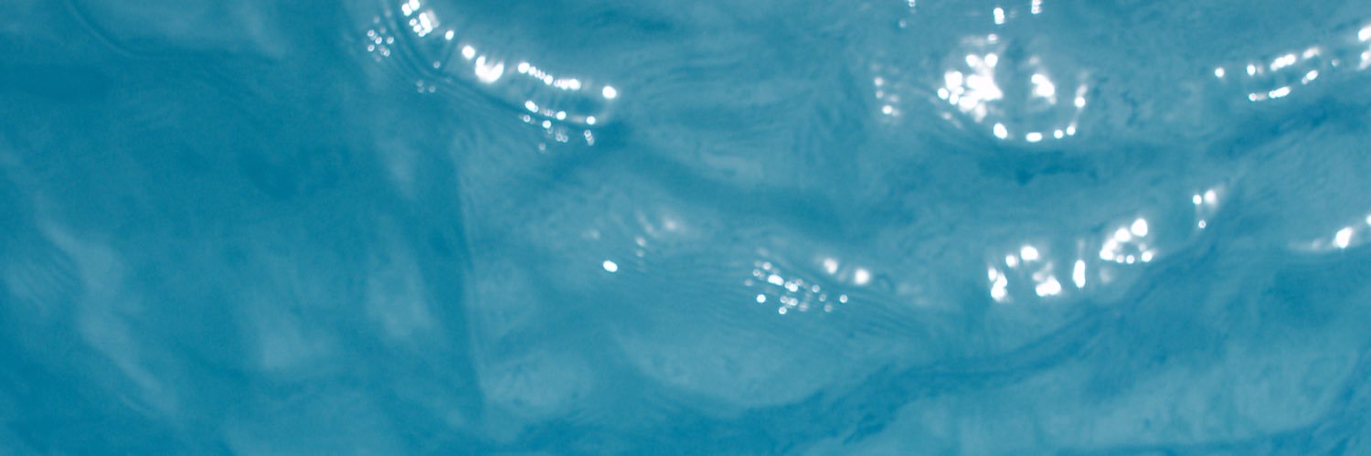 michael choung banner