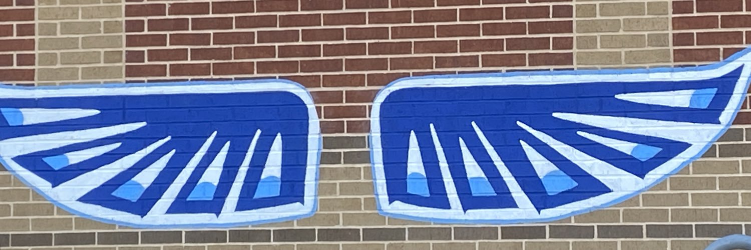 Frankford Falcons banner