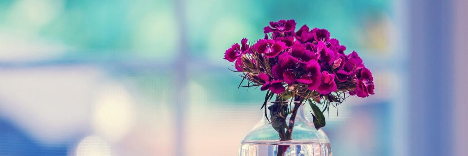 Josefa_Serrano's profile banner image